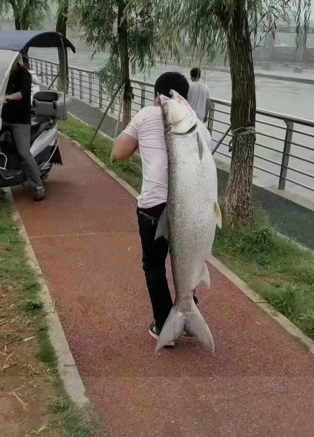 商品1,点点购,星卡平台,寄售平台,发卡平台,卡密销售,激活码销售,在线发卡系统,电子门票,兑换码,充值码,百度网盘,网盘链接,文档销售,文档下载,星卡寄售系统,虚拟寄售平台,自动发卡网,虚拟物品发卡网,虚拟物品发货系统,自动发货系统,点点购发卡系统